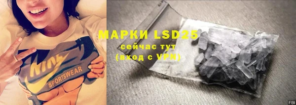 гашик Алексин