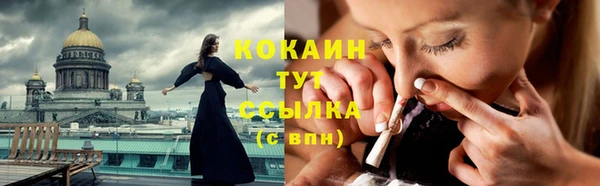 гашик Алексин