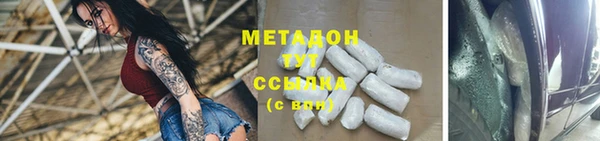 гашик Алексин