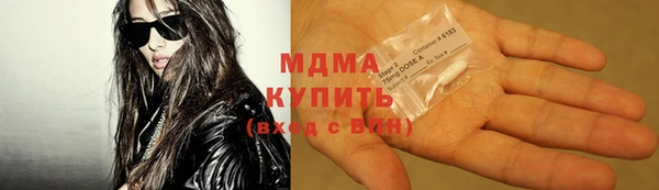 гашик Алексин