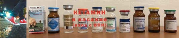 гашик Алексин