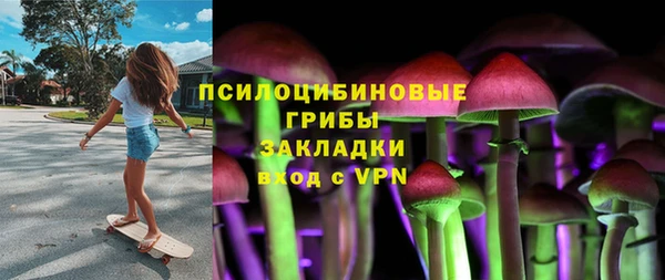 гашик Алексин