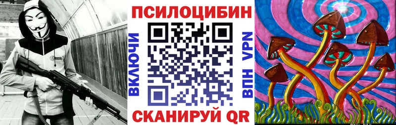 купить закладку  Фролово  Галлюциногенные грибы Psilocybine cubensis 
